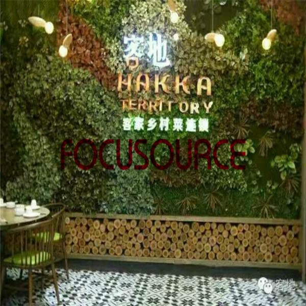 OEM Factory for Decorative Cotton Rope -
 Artificial Plants Wall – Focusource