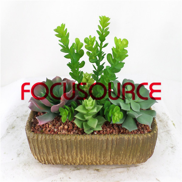 Good quality Outdoor Composite Decking -
 Artificial Succulent Plants Bonsai-SM019K-O-037 – Focusource