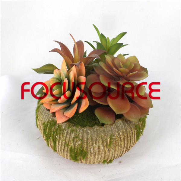 Professional Factory for Cheap Floor Tiles Philippines -
 Artificial Succulent Plants Bonsai-SM015KM-O-030 – Focusource